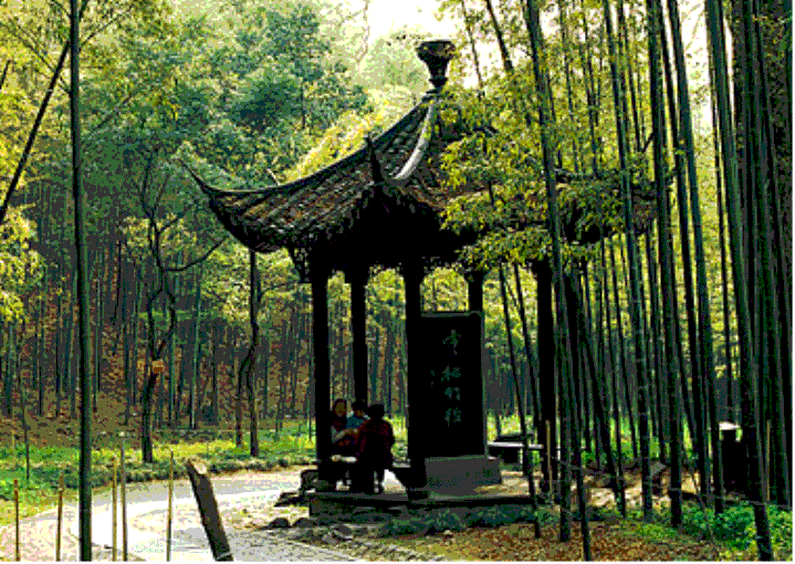 开云手机站登入界面